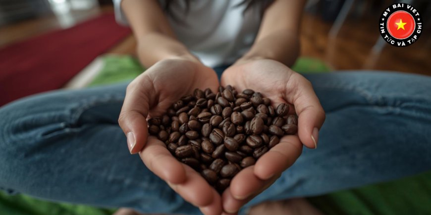 Quy Trình Trồng Và Thu Hoạch Cà Phê Hữu Cơ