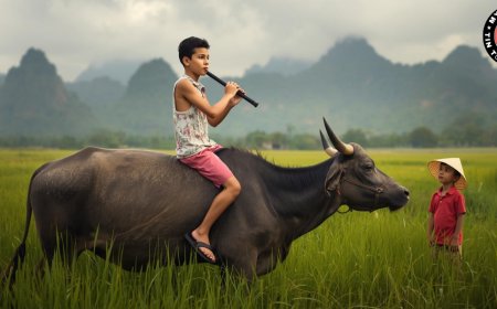 Ca Dao Là Gì? Khái Niệm, Đặc Điểm Và Ý Nghĩa Trong Văn Học Việt Nam