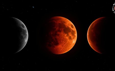 Nguyệt Thực Là Gì? Giải Thích Hiện Tượng Thiên Văn Một Cách Dễ Hiểu