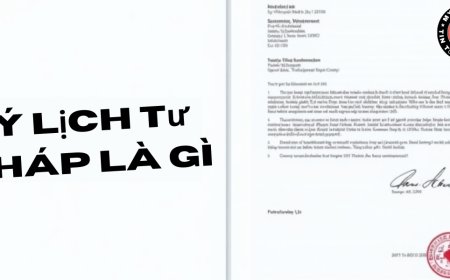 Lý Lịch Tư Pháp Là Gì? Giải Thích Dễ Hiểu Và Đầy Đủ Nhất