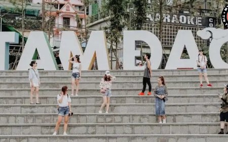 Tam Đảo: Cẩm Nang Du Lịch, Ăn Gì – Chơi Gì – Đi Khi Nào Đẹp Nhất