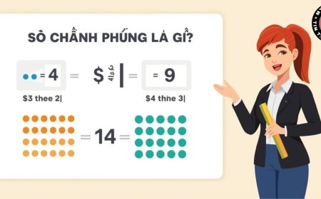Số Chính Phương Là Gì? Khái Niệm, Dấu Hiệu Nhận Biết Và Ví Dụ
