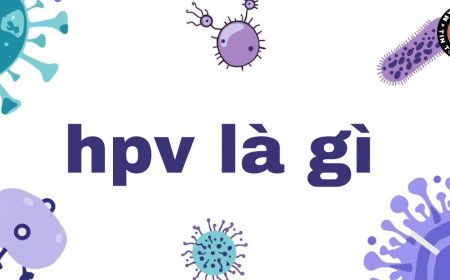HPV là gì? Những điều quan trọng cần biết về virus HPV