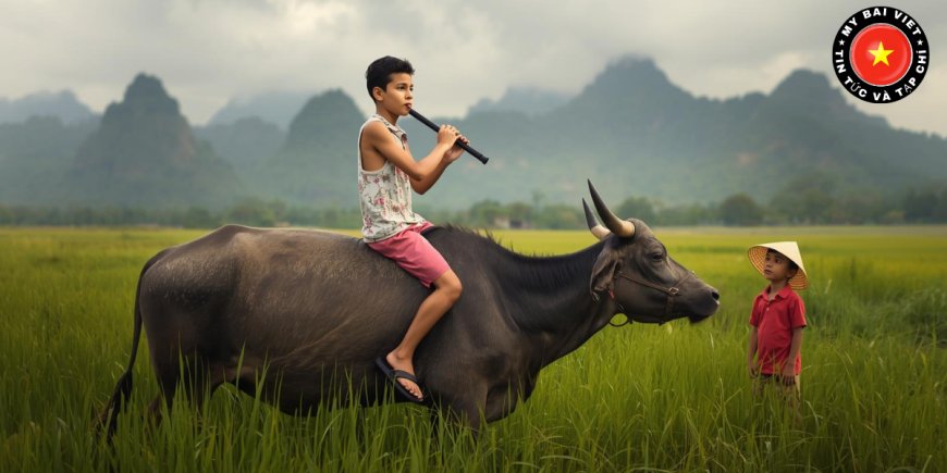 Ca Dao Là Gì? Khái Niệm, Đặc Điểm Và Ý Nghĩa Trong Văn Học Việt Nam