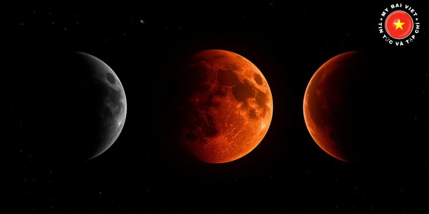 Nguyệt Thực Là Gì? Giải Thích Hiện Tượng Thiên Văn Một Cách Dễ Hiểu