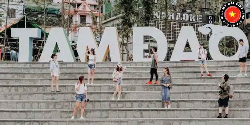 Tam Đảo: Cẩm Nang Du Lịch, Ăn Gì – Chơi Gì – Đi Khi Nào Đẹp Nhất