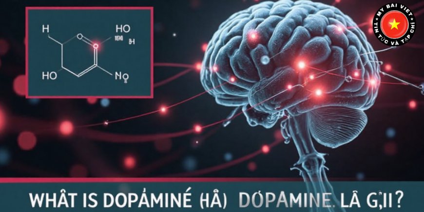 Dopamine Là Gì? Vai Trò, Tác Dụng Và Ảnh Hưởng Đến Não Bộ