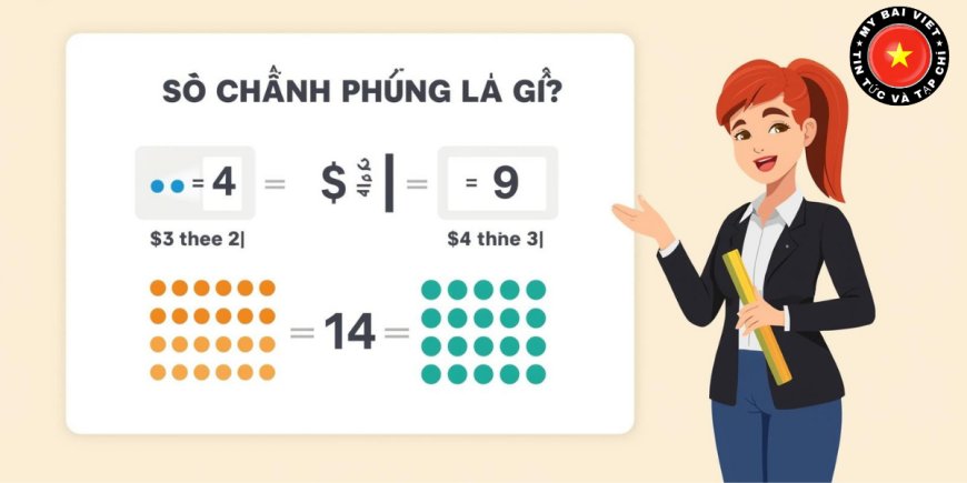 Số Chính Phương Là Gì? Khái Niệm, Dấu Hiệu Nhận Biết Và Ví Dụ