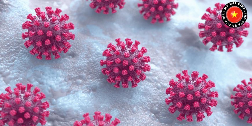 HPV và nguy cơ gây ung thư