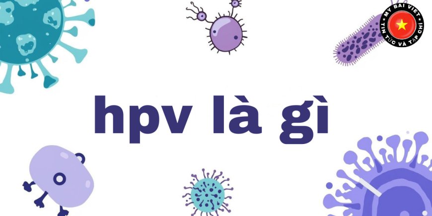 HPV là gì? Những điều quan trọng cần biết về virus HPV