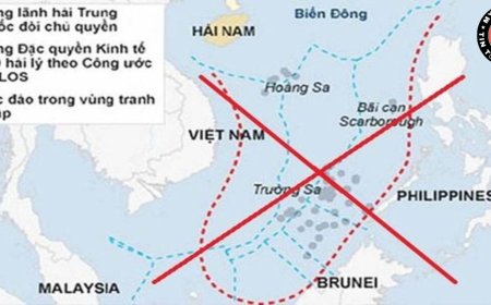Đường lưỡi bò là gì? Thông tin đầy đủ và cập nhật mới nhất
