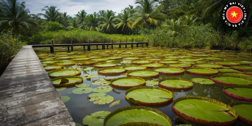 Thời điểm lý tưởng để tham quan