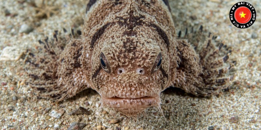 Vai Trò Trong Hệ Sinh Thái