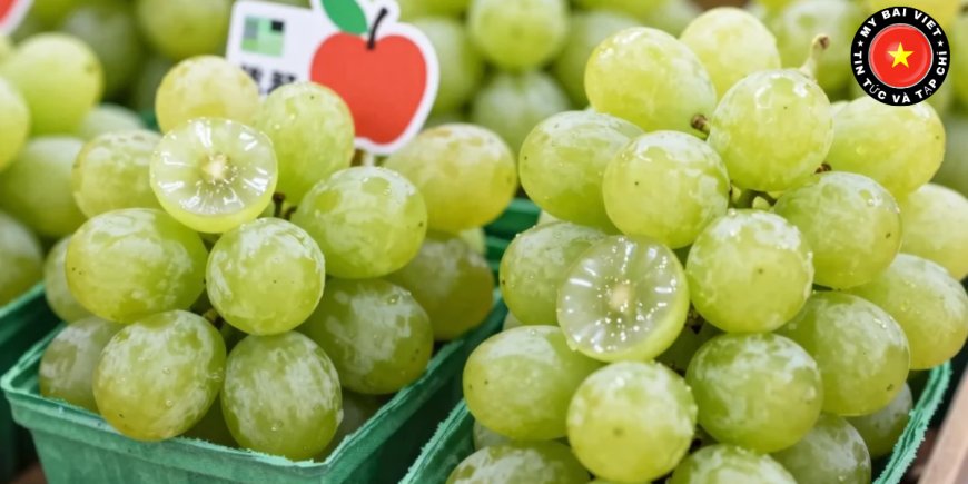 So sánh với các loại nho khác