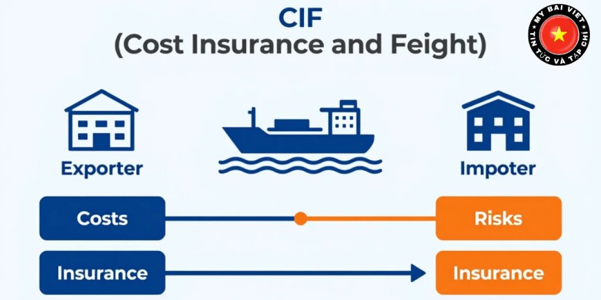 Trách nhiệm của người bán và người mua trong CIF