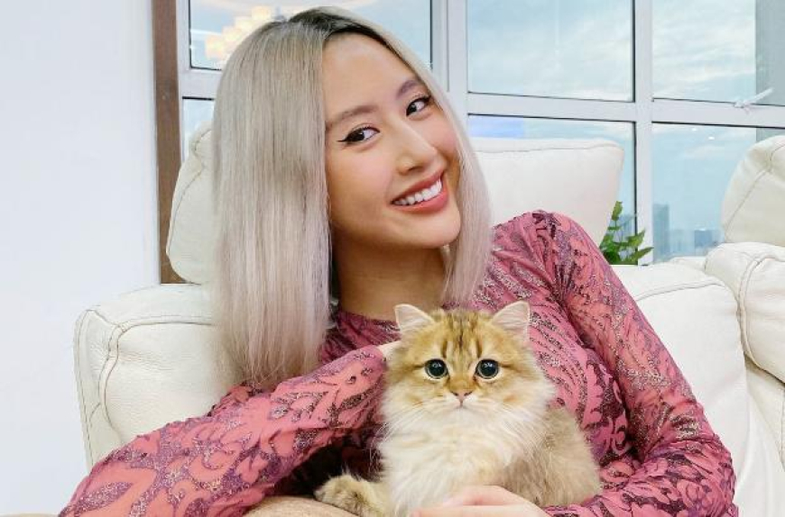 Tầm Ảnh Hưởng Của Quỳnh-Anh-Shyn Trong Thời Trang Việt